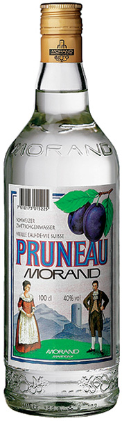 99119_100_princ