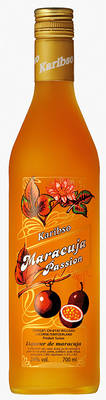 99461_70_princ